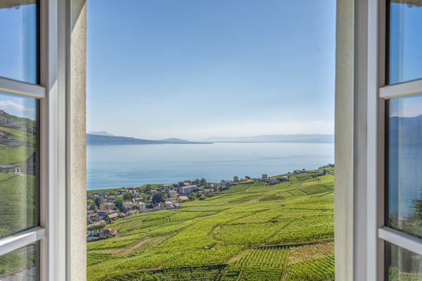 Aperçu de l'image de l'immobilier