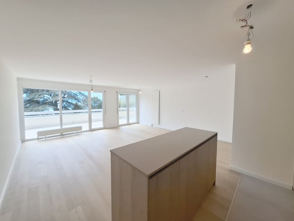 Exclusivité PROXIMMO ! Appartement d'exception entièrement refait à neuf ! 11