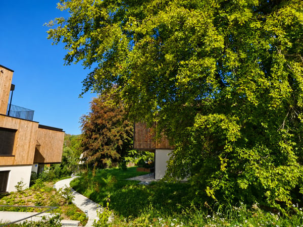 Une visite s'impose ! Dernier lot disponible ! Duplex neuf dans une oasis de verdure à deux pas du M2 1