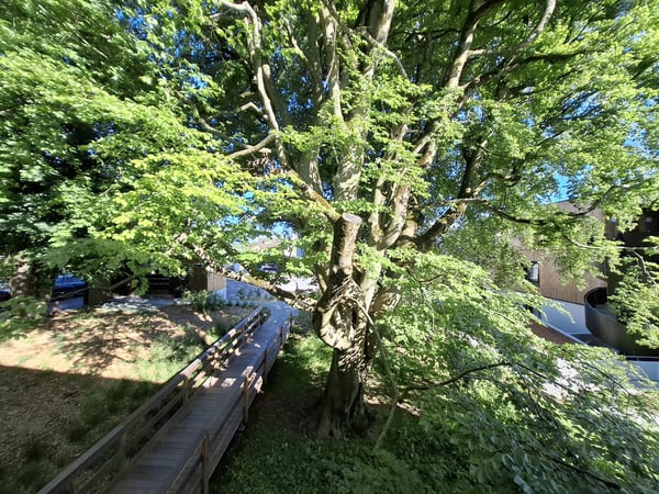 Une visite s'impose ! Dernier lot disponible ! Duplex neuf dans une oasis de verdure à deux pas du M2 11