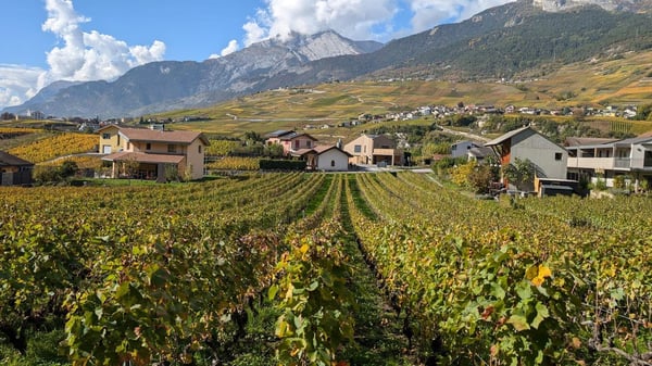 Vuisse (Savièse) – Attique 1.5 pièces, plein sud, vue dégagée et belle hauteur sous plafond 5