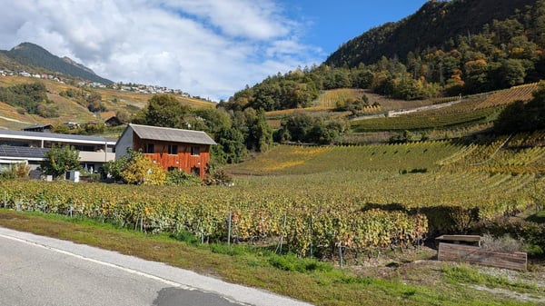 Vuisse (Savièse) – Attique 1.5 pièces, plein sud, vue dégagée et belle hauteur sous plafond 6