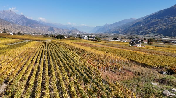 Villas jumelées 4.5 pièces en bordure de zone constructible – St-Pierre-de-Clages 7
