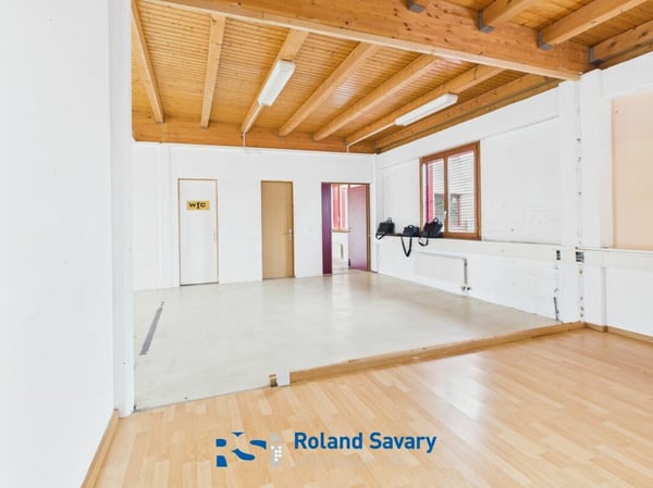 Local commercial & artisanal 5