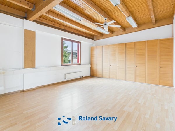 Local commercial & artisanal 6