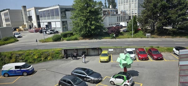 Local commercial & artisanal 8