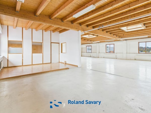 Local commercial & artisanal 2