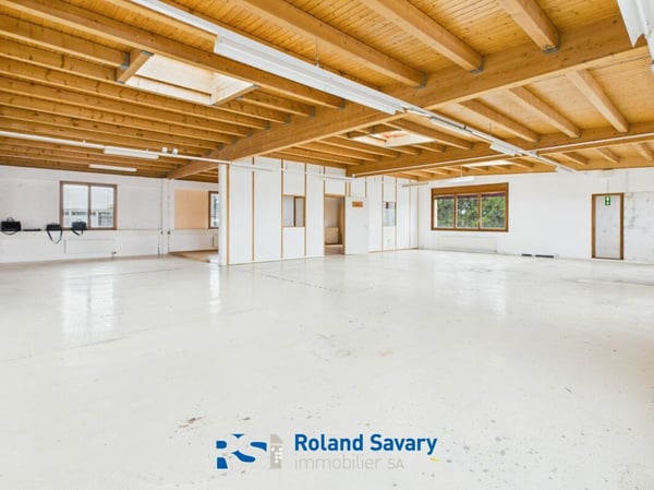 Local commercial & artisanal 3