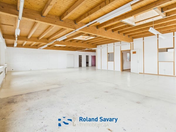 Local commercial & artisanal 4