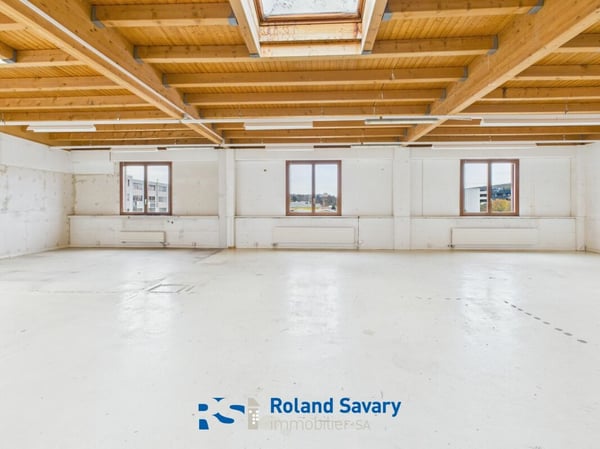 Local commercial & artisanal 7