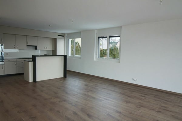 Spacieux duplex avec vue panoramique sur le lac 10