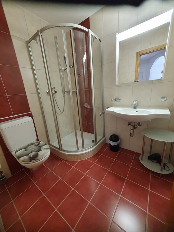 Spacieux appartement de 2.5 pièces à Ovronnaz/VS 8