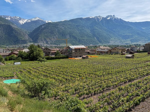 Superbe appartement de 3.5 pièces neuf idéalement situé à Leytron/VS 3
