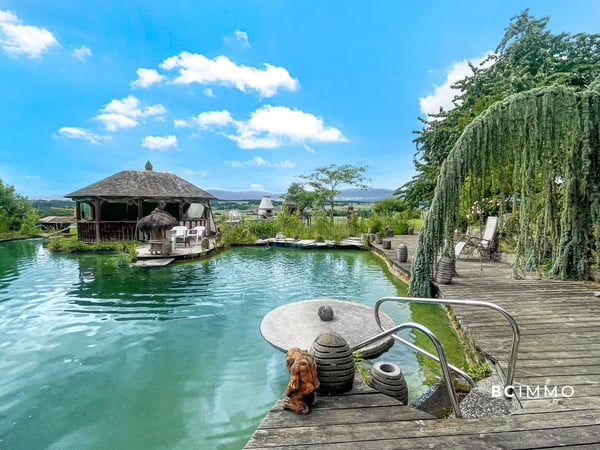 Domaine d'exception aux portes de Lausanne 7