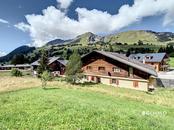 Chalet de deux appartements et un commerce | BC IMMO 4