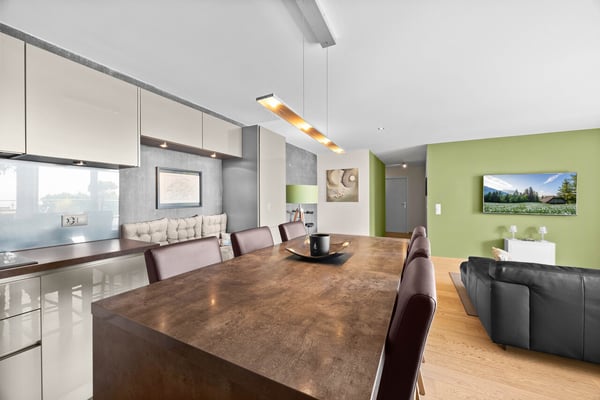 Magnifique appartement avec terrasse et vue lac 3