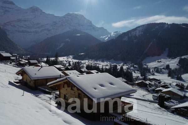 Chalet Capucchione, Les Diablerets 2