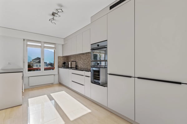 Bel appartement spacieux de 1.5 pièces de 175m2 au 8ème étage. 4