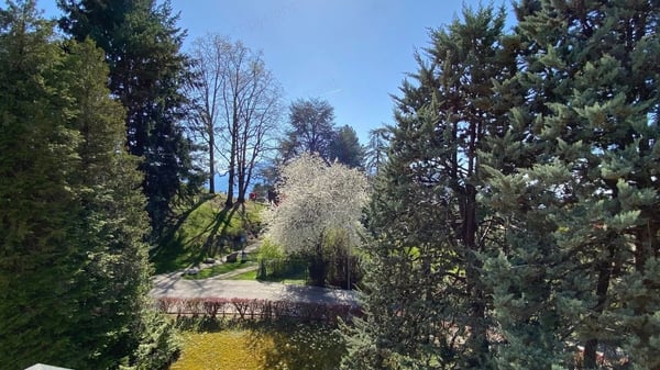 Superbe appartement lumineux de 2,5 pièces, orienté plein Sud, au dernier étage avec ascenseur. 9