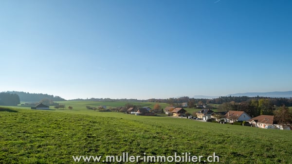 Maison Domespace à vendre à 10 min de Romont 13
