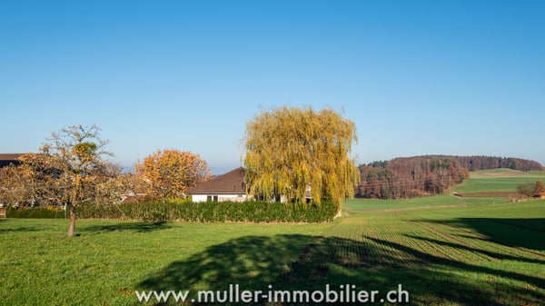 Maison Domespace à vendre à 10 min de Romont 12