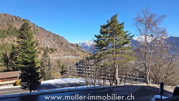 Charmant appartement de 2,5 pièces à Torgon 11