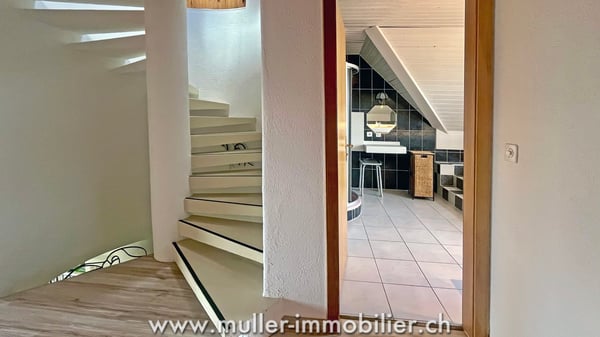 Grande villa de 3 appartements indépendants et vitrine commerciale 10