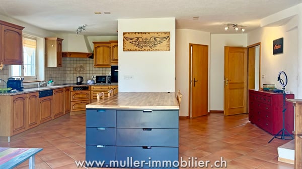 Grande villa de 3 appartements indépendants et vitrine commerciale 4