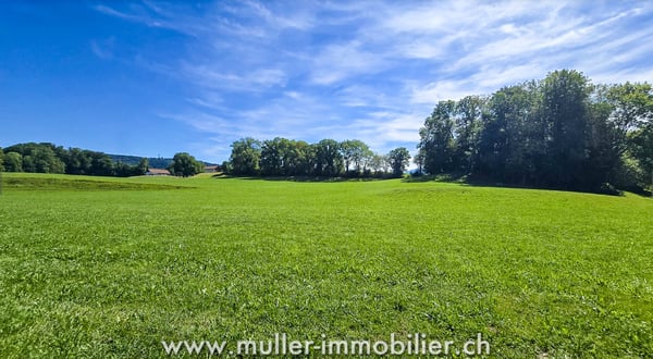 Belle villa à Bossonnens 9