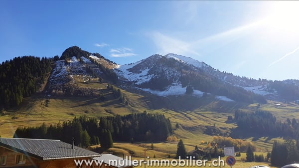Grand chalet aux Mosses avec appartements et tea-room 8