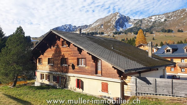 Grand chalet aux Mosses avec appartements et tea-room 9