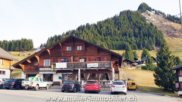 Grand chalet aux Mosses avec appartements et tea-room