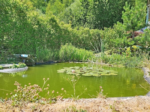 Situation Privilégiée avec vue panoramique totalement dégagée 14