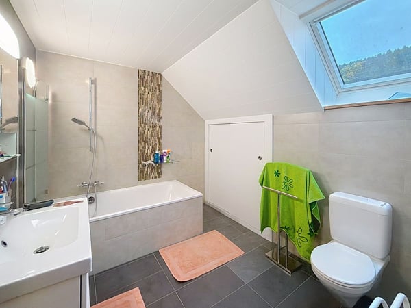 Maison d'exception - Autonome, rentable et rénovée avec raffinement à 20 min de Lausanne 11