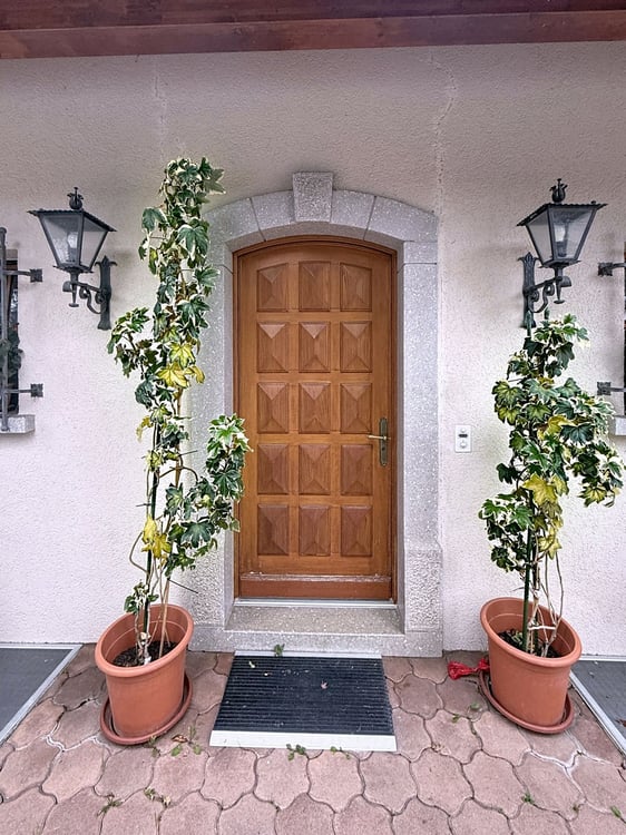 Maison d'exception - Autonome, rentable et rénovée avec raffinement à 20 min de Lausanne 3