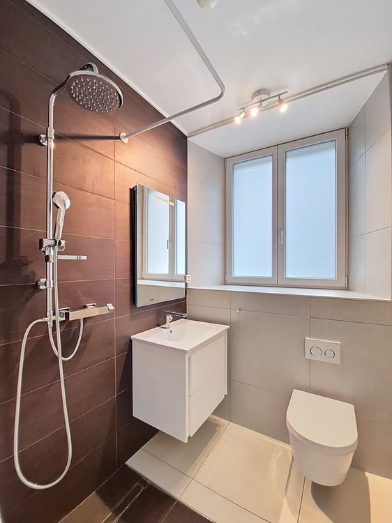 Ne laissez pas passer cette affaire! Bel appartement rénové, spacieux, lumineux de 1.5 pièces au-dessous du prix du marché! 7