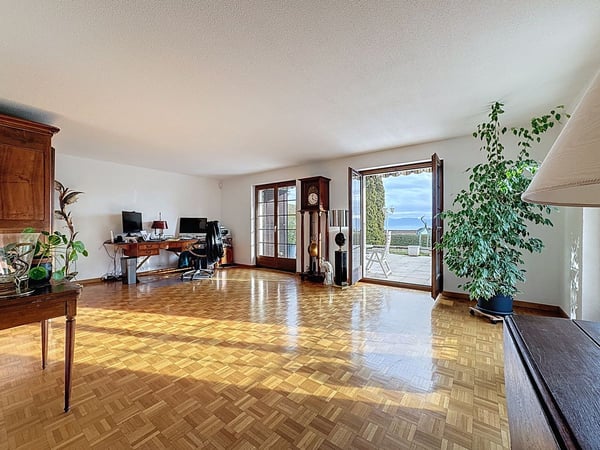 Villa Individuelle avec studio indépendant - Vue Lac & Alpes - Jacuzzi pour des Instants d'Exception 6