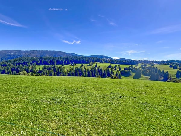 2 maisons familiales réunies sous un même toit - Une vue à couper le souffle ! 13
