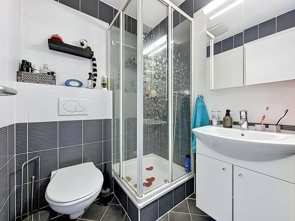 Duplex lumineux aux volumes généreux au coeur de Servion 11