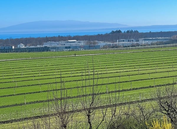Duplex 4.5 pièces au dernier étage avec vue sur le Léman, les Alpes et les vignobles 10