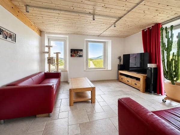 Bien rare et élégant, offrant un cadre idéal pour une famille ou une activité B&B, avec vue spectaculaire 11