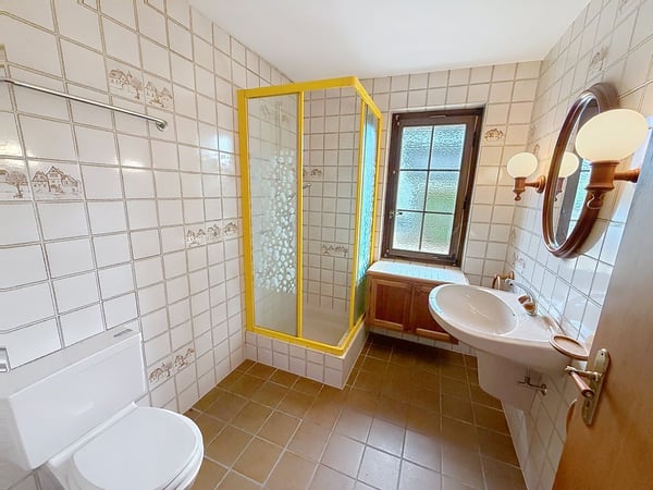 Spacieuse villa familiale sur une parcelle exceptionnelle de 1'435 m² 13