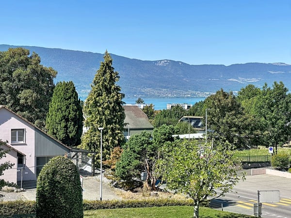 Lumière, espace et belle échappée sur le lac : un appartement rénové au dernier étage 12