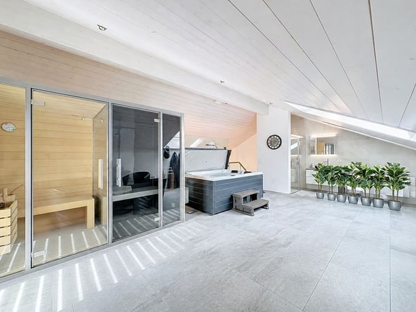 Duplex en attique avec espace bien-être privatif 2