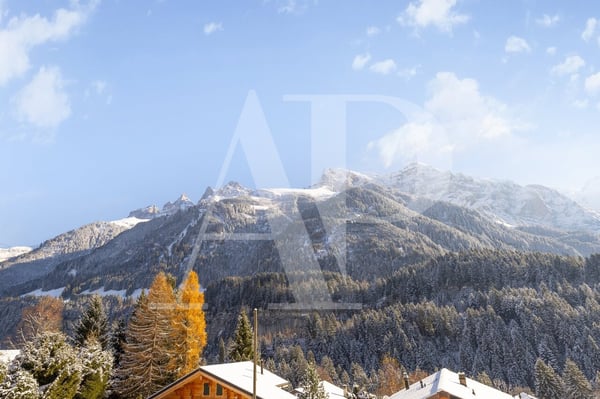 Chalet authentique à Champéry - 1'492 m² de terrain 12