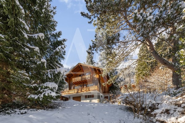 Chalet authentique à Champéry - 1'492 m² de terrain 8