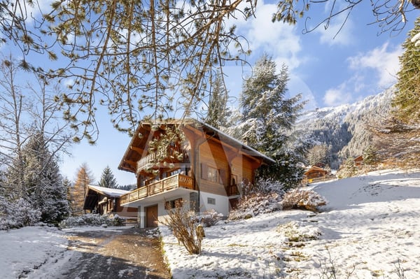 Chalet authentique à Champéry - 1'492 m² de terrain 11
