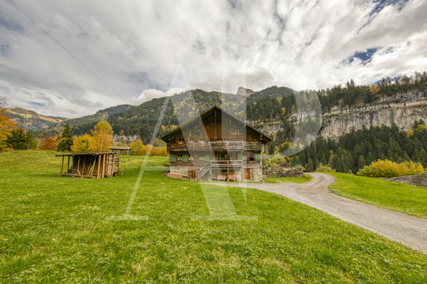 A VENDRE APPARTEMENT 5.5 PIECES  DANS UN CHALET AUTHENTIQUE 5