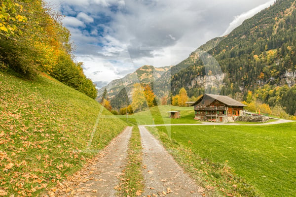 A VENDRE APPARTEMENT 5.5 PIECES  DANS UN CHALET AUTHENTIQUE 4