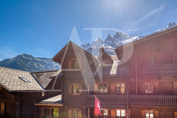 Appartement au charme d'antan au coeur de Champéry 12